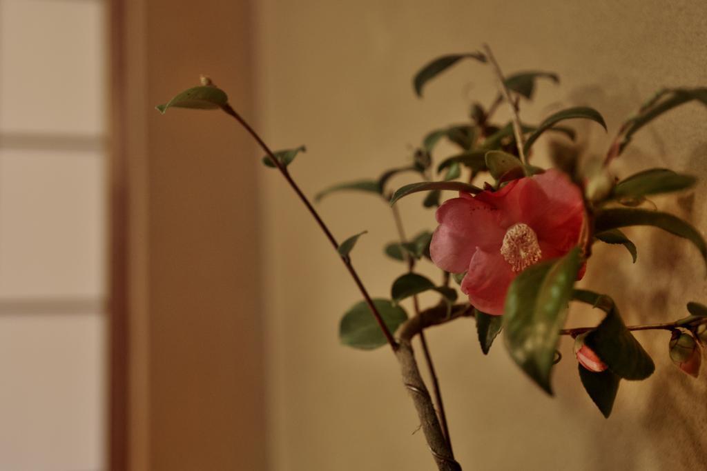 Mitsuki Kyoto Hotel ภายนอก รูปภาพ